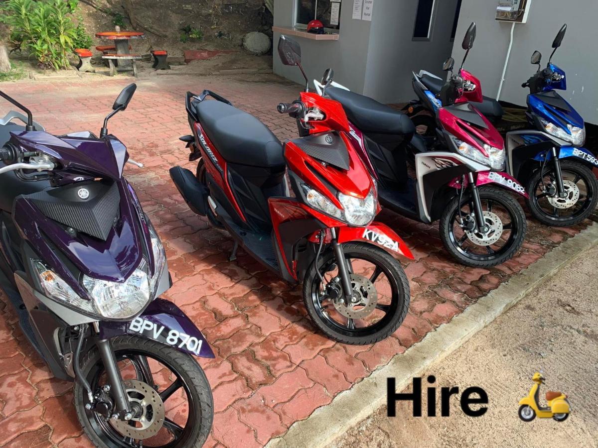 Homestay Red Coral